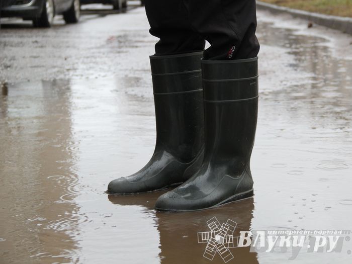 Этот странный январь