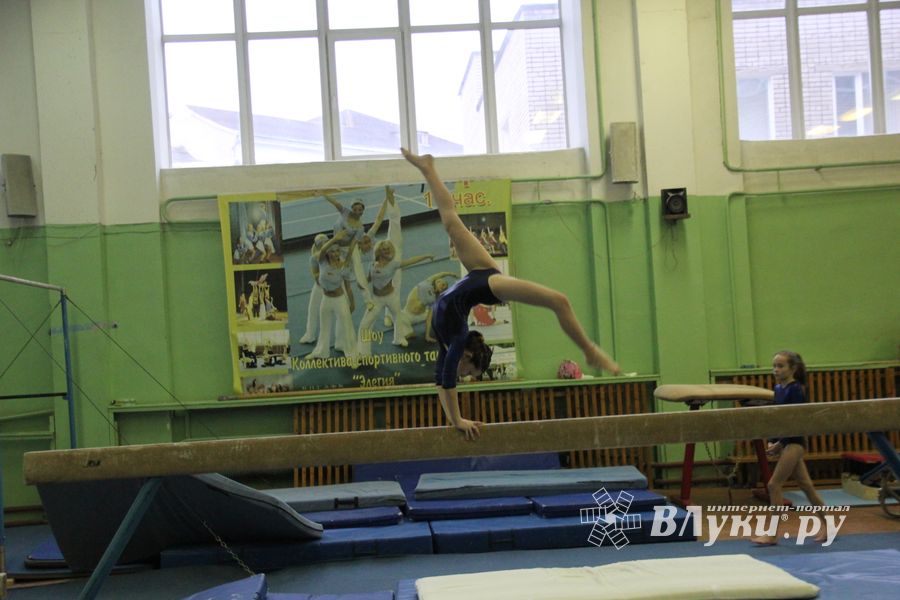 В Великих Луках прошло Первенство города по спортивной гимнастике (фото)