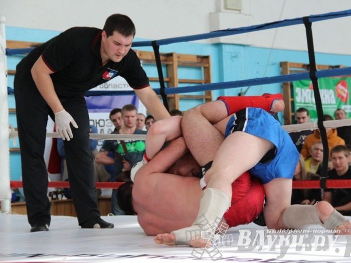 Чемпионат Псковской области по ММА