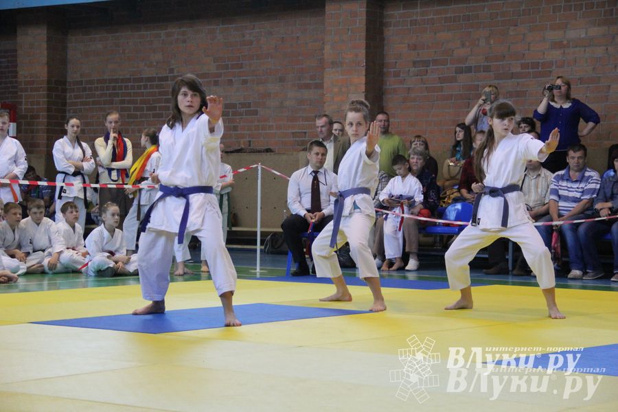 Великолучане стали победителями турнира по каратэ «Неприкосновенный запас, дети — Отчизны 2015» (фото)