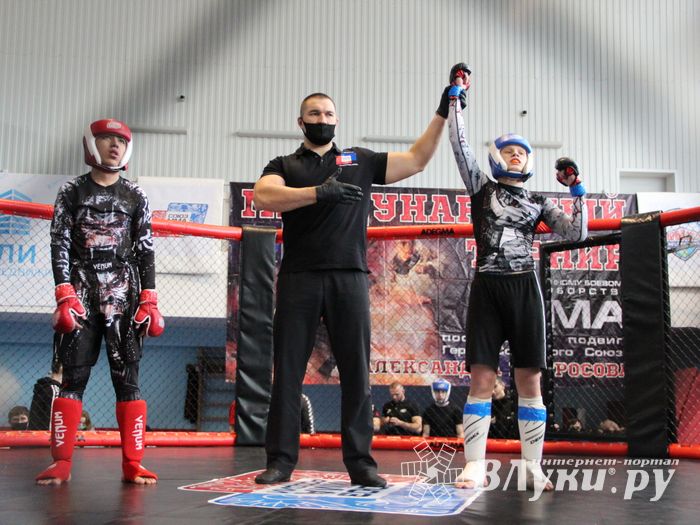 В Великих Луках прошел кубок по смешанному боевому единоборству (ФОТО)