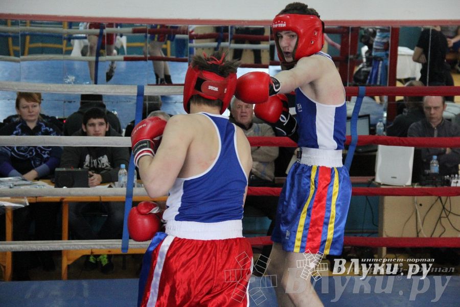 Открытое Первенство города по боксу