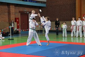 В Великих Луках прошло Первенство по тхэквондо (фото)
