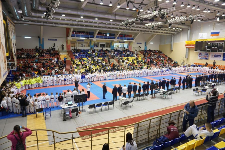 Великолучане привезли медали с Первенства и Чемпионата СЗФО России по каратэ (ФОТО)