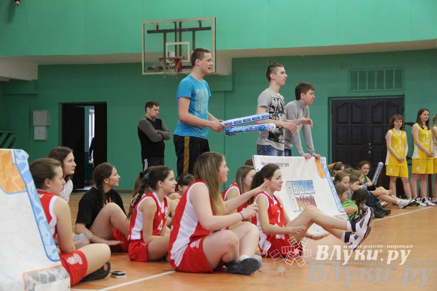 Чемпионат ШБЛ «КЭС-БАСКЕТ» сезона 2013-2014 гг. Псковской области