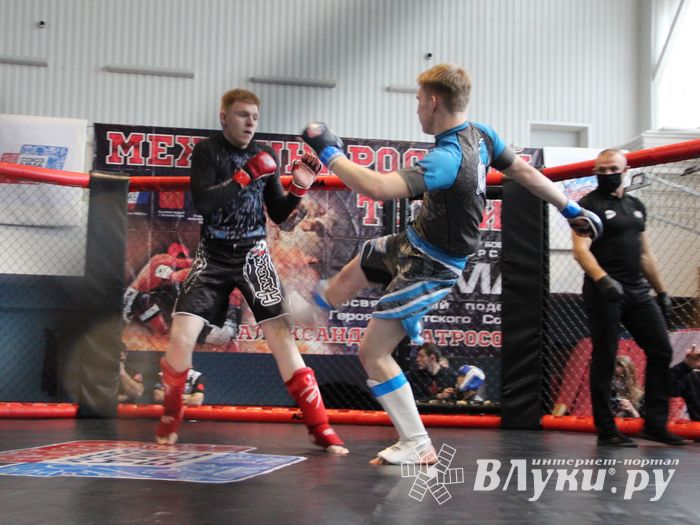 В Великих Луках прошел кубок по смешанному боевому единоборству (ФОТО)