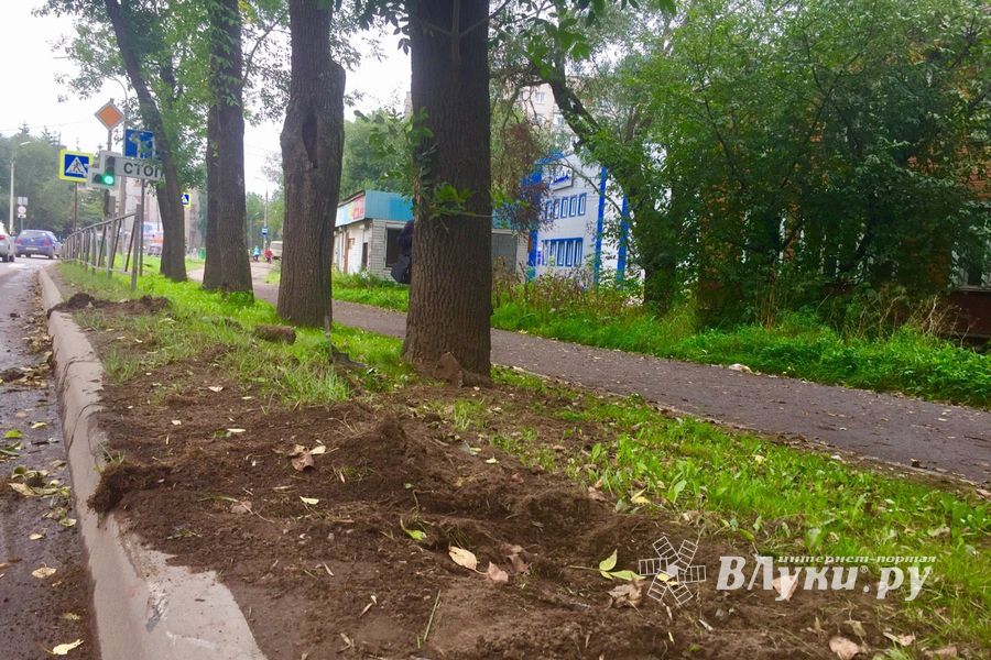 ДТП на пр-те Гагарина в Великих Луках (ФОТО)