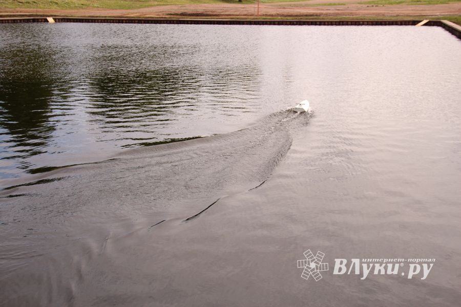 Великолукская регата - не все суда спустили на воду (ФОТО)