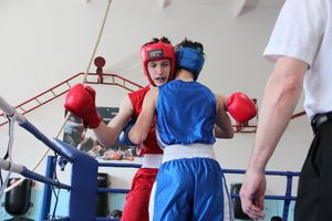 В Великих Луках завершился открытый турнир по боксу (ФОТО)