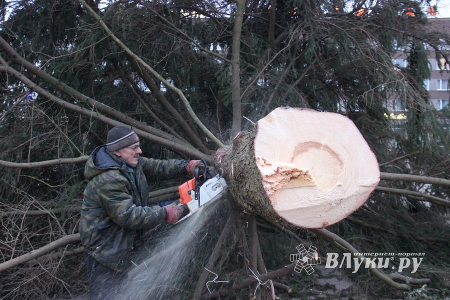 Необычное украшение сняли с главной ёлки Великих Лук (ФОТО)