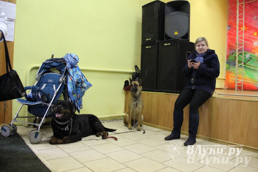 Всероссийская выставка собак в Великих Луках (фото)
