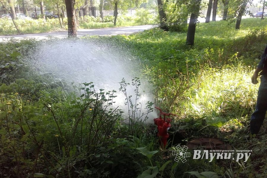 Жильцы домов по ул. Нелидовской могут быть спокойны (ФОТО)