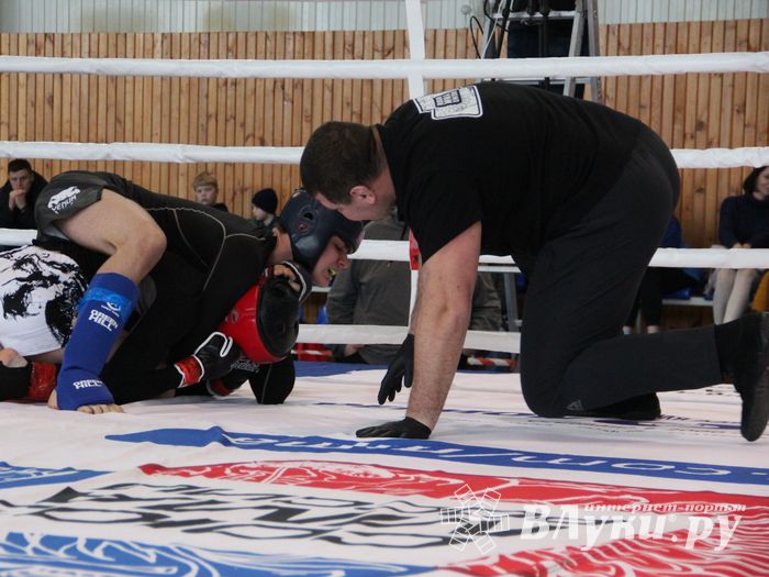 Открытый кубок по смешанному боевому единоборству ММА прошел в Великих Луках (ФОТО)