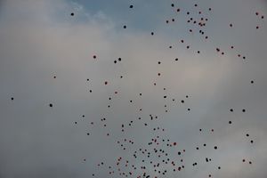 Сегодня над Великими Луками летели шары