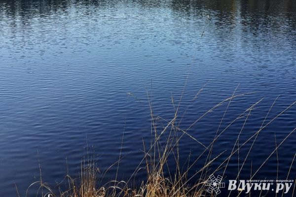 Суд обязал собственника снести забор на береговой полосе озера Сорито