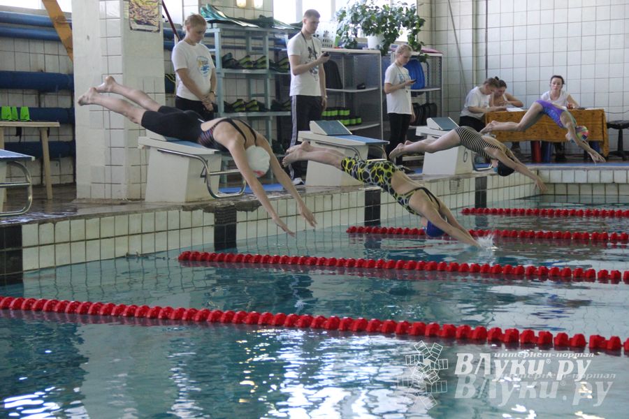 В Великих Луках прошли соревнования по плаванию «Весёлый дельфин»