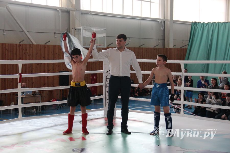 В Великих Луках прошел Кубок области по кикбоксингу (ФОТО)