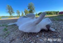 Завтра в Псковской области прогнозируют жару