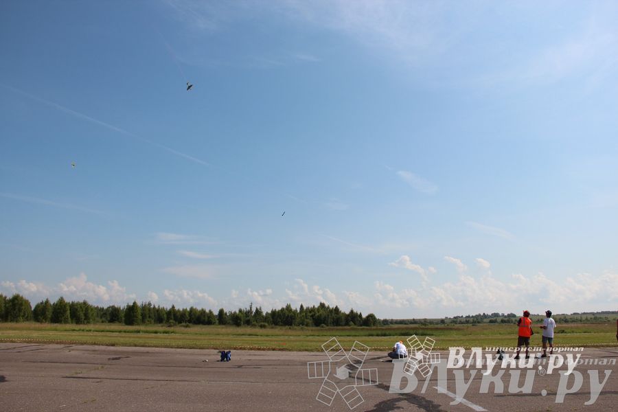 В Великих Луках прошли воздушные бои (фото)