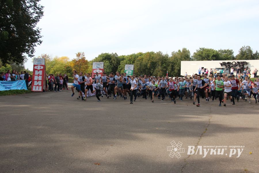 В Великих Луках прошёл «Кросс Нации-2018» (ФОТО)