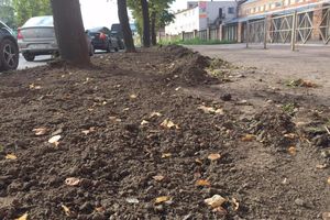 Фотофакт: В Великих Луках на проспекте Октябрьском перерыты газоны