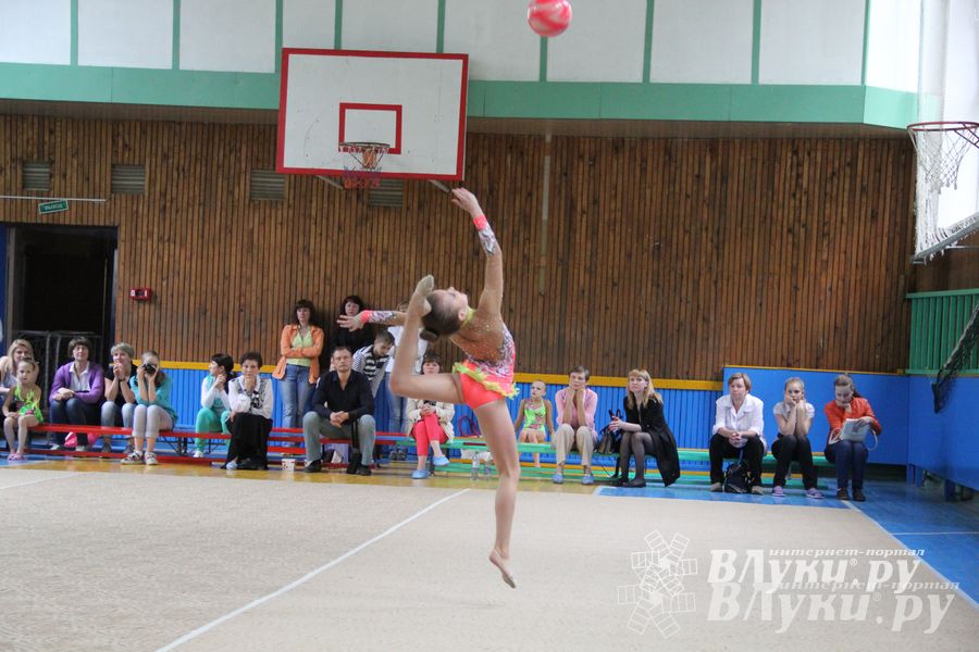 В Великих Луках прошло Первенство по художественной гимнастике (фото)