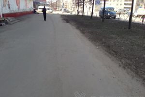 Весне дорогу!