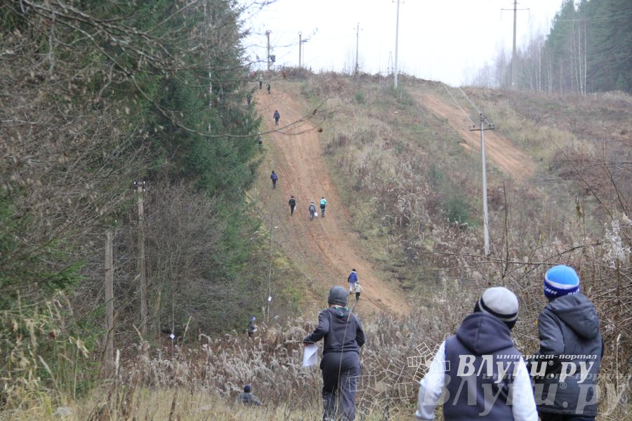 «Великолукский Марафон-2014» прошел в Сенчитском бору (фото)