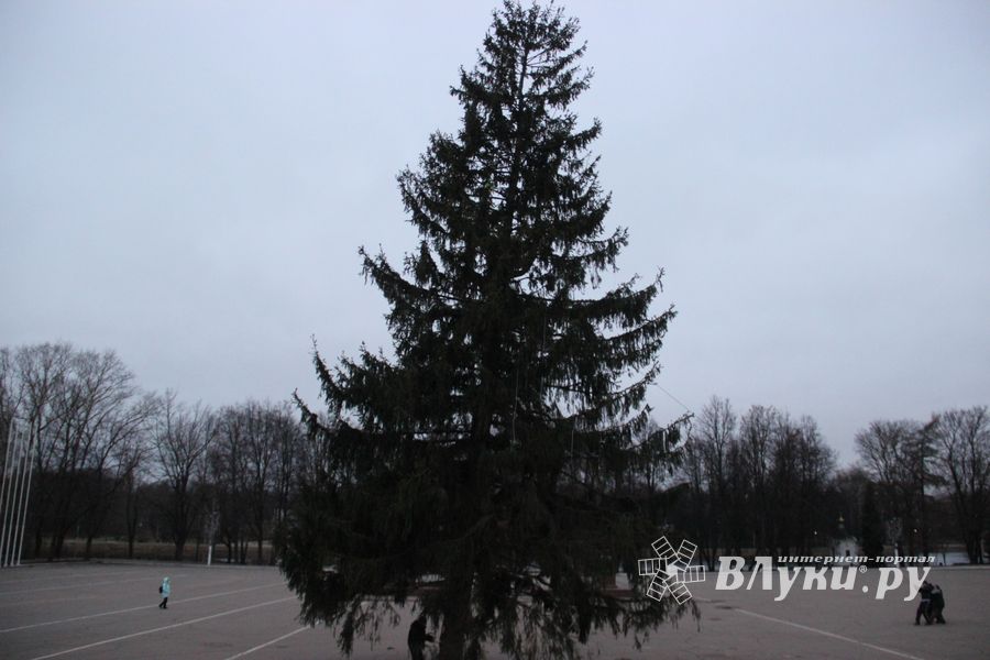 Необычное украшение сняли с главной ёлки Великих Лук (ФОТО)