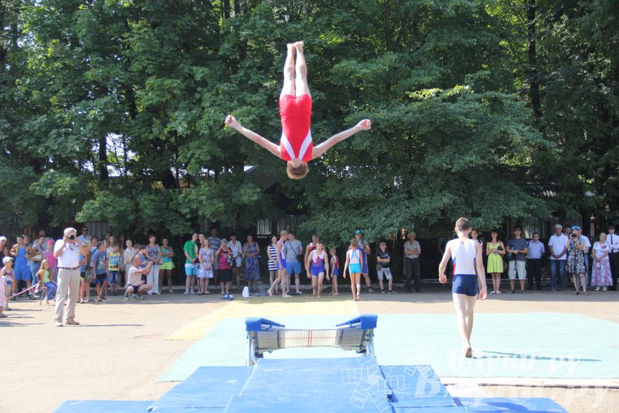 В Великих Луках отметили День физкультурника