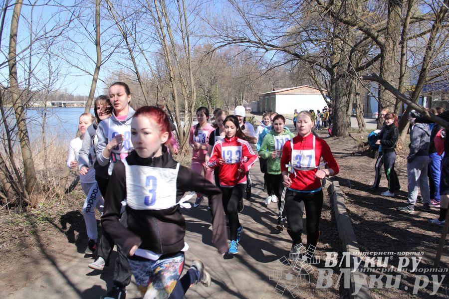 Весенний кросс