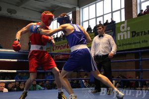16-й Международный турнир по боксу (фото)