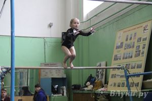 В Великих Луках прошел турнир по спортивной гимнастике (фото)