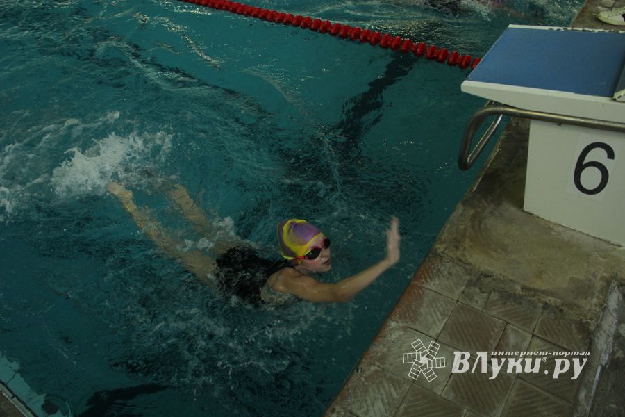 Первый «Быстрый кашалот» в Великих Луках  (фото)