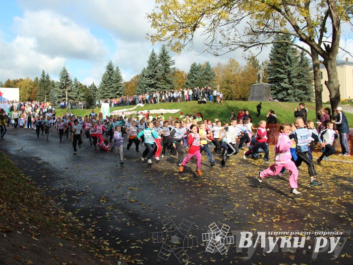 Кросс нации