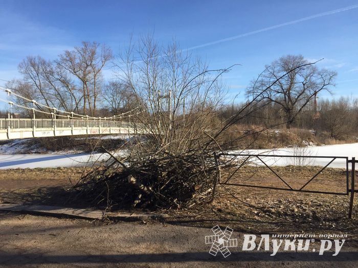 В УЖКХ Великих Лук объяснили спил деревьев возле пешеходного моста (ФОТО)
