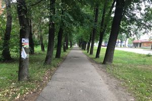 «Прибинтовали» скотчем (ФОТО)