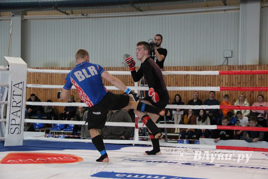 Открытый кубок по смешанному боевому единоборству ММА прошел в Великих Луках (ФОТО)