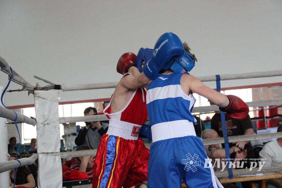 В Великих Луках прошло Первенство города по боксу (ФОТО)