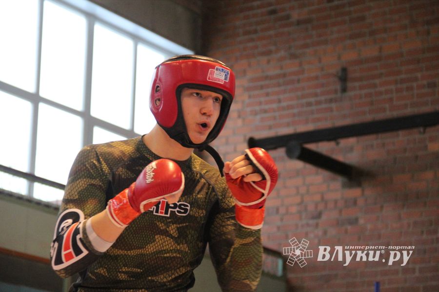 В Великих Луках прошел международный открытый Кубок по смешанному боевому единоборству (ФОТО) (16+)