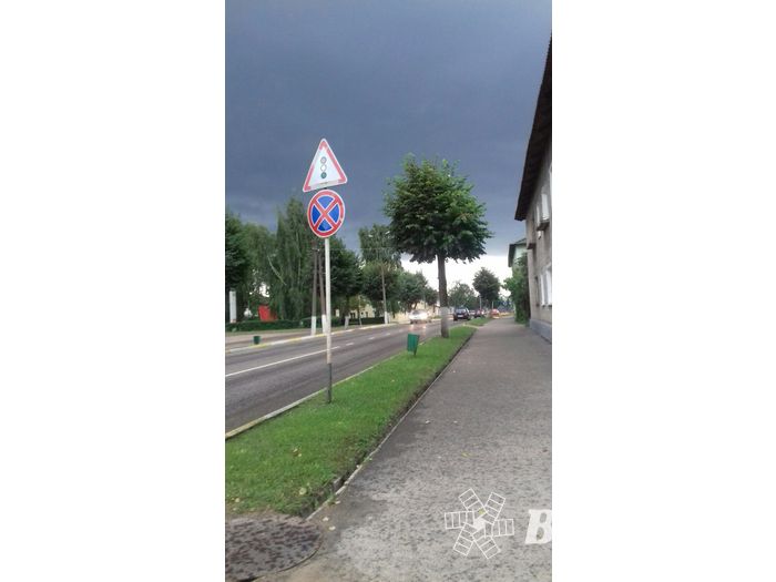 Ураган в Псковской области валил деревья и срывал крыши (ФОТО)