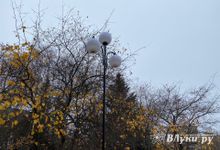 В ноябре в Псковской области будет теплее и дождливее, чем обычно