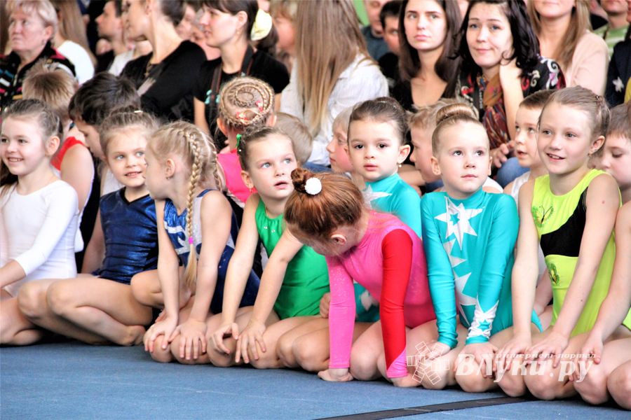Великие Луки посетил четырехкратный олимпийский чемпион Алексей Немов (ФОТО)