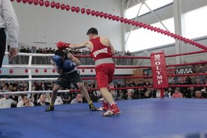 Матчевая встреча по боксу Великие Луки —Псков — Грозный (ФОТО)