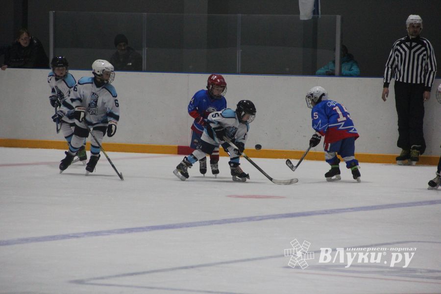 Детский турнир по хоккею прошел в Великих Луках (ФОТО)
