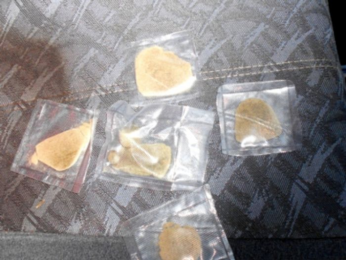 В Псковской области полицейскими выявлена нарколаборатория (ФОТО 18+)