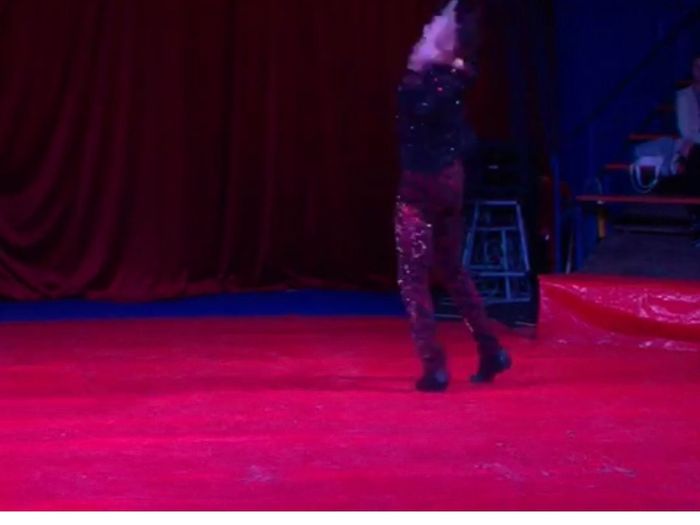 Выступающий в Великих Луках цирк назвал обвинения в свой адрес беспочвенными (ФОТО; ВИДЕО)