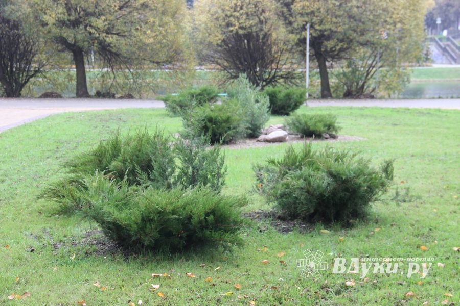 Теперь и в Великих Луках есть что потереть на удачу (ФОТО)