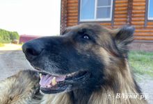 Прогноз погоды на 17 июля в Великих Луках