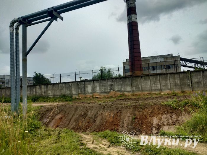 Дом великолучанки отрезали от внешнего мира (ФОТО)